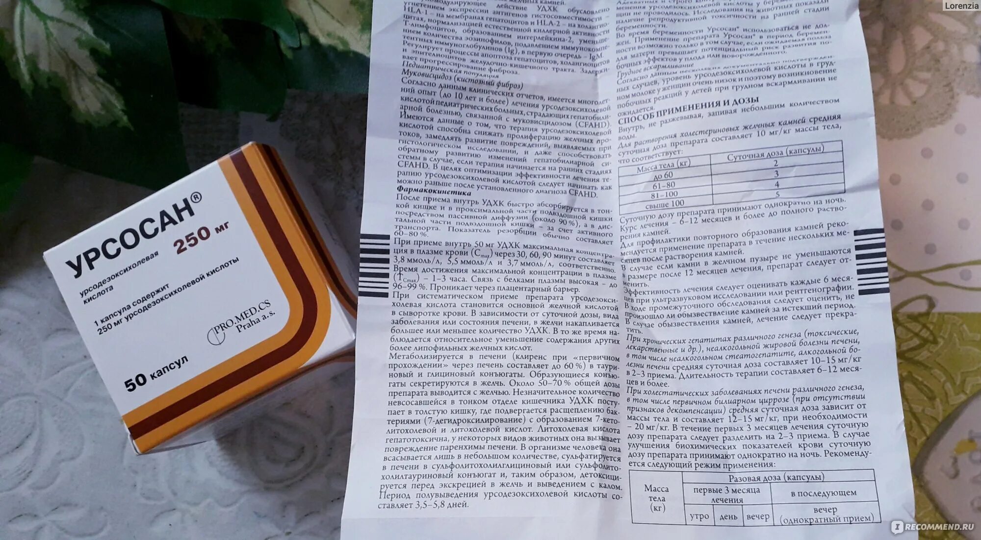 Гептрал и урсосан вместе можно ли. Желчегонные препараты при перегибе желчного пузыря. желчегонные препараты урсосан. доза урсосан 100 капсул.