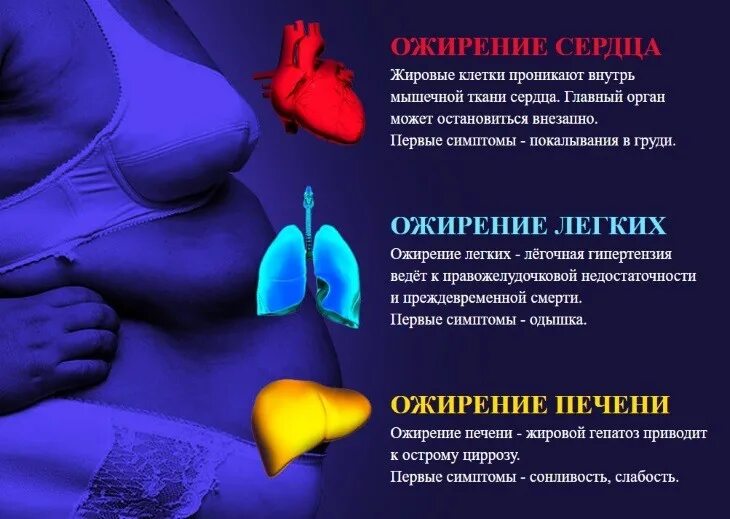 Ожирение и сердечно сосудистые заболевания. Ожирение сердца причины.