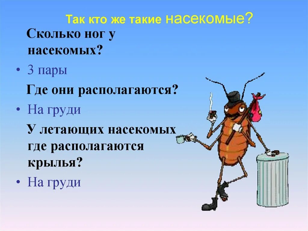 Три пары ног у. Три пары ног у насекомых. Сколько ног у насекомых. Количество ходильных ног у насекомых. У насекомых три пары ходильных конечностей.