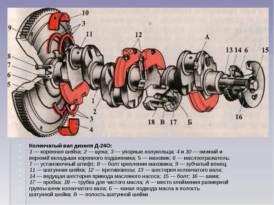 Коленчатый вал дизеля д 240. Коленчатый вал дизеля д243 описание. Схема коленчатого вала двигателя д-240. Коленчатый вал дизеля д-243 схема.