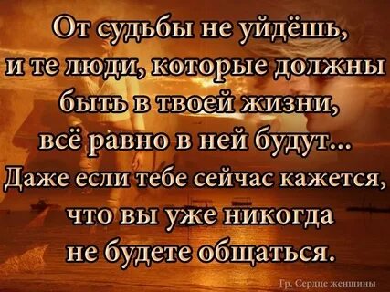 Ну судьба