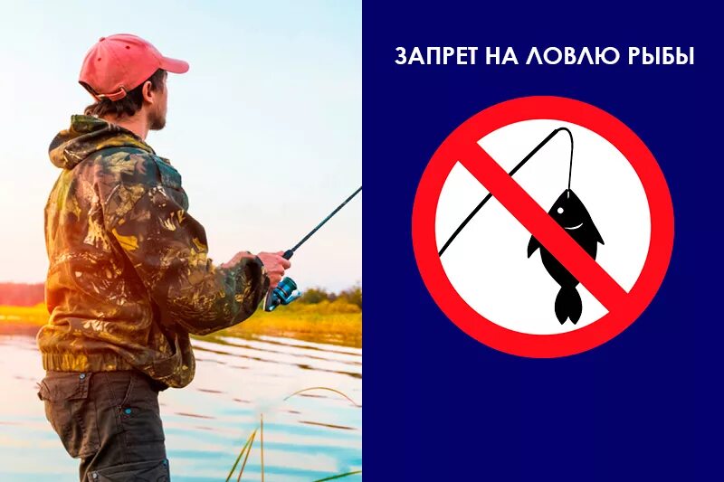 До какого числа нельзя ловить. Запрет на ловлю рыбы. запрет на вылов рыбы. ловить рыбу запрещено. лов рыбы запрещен.