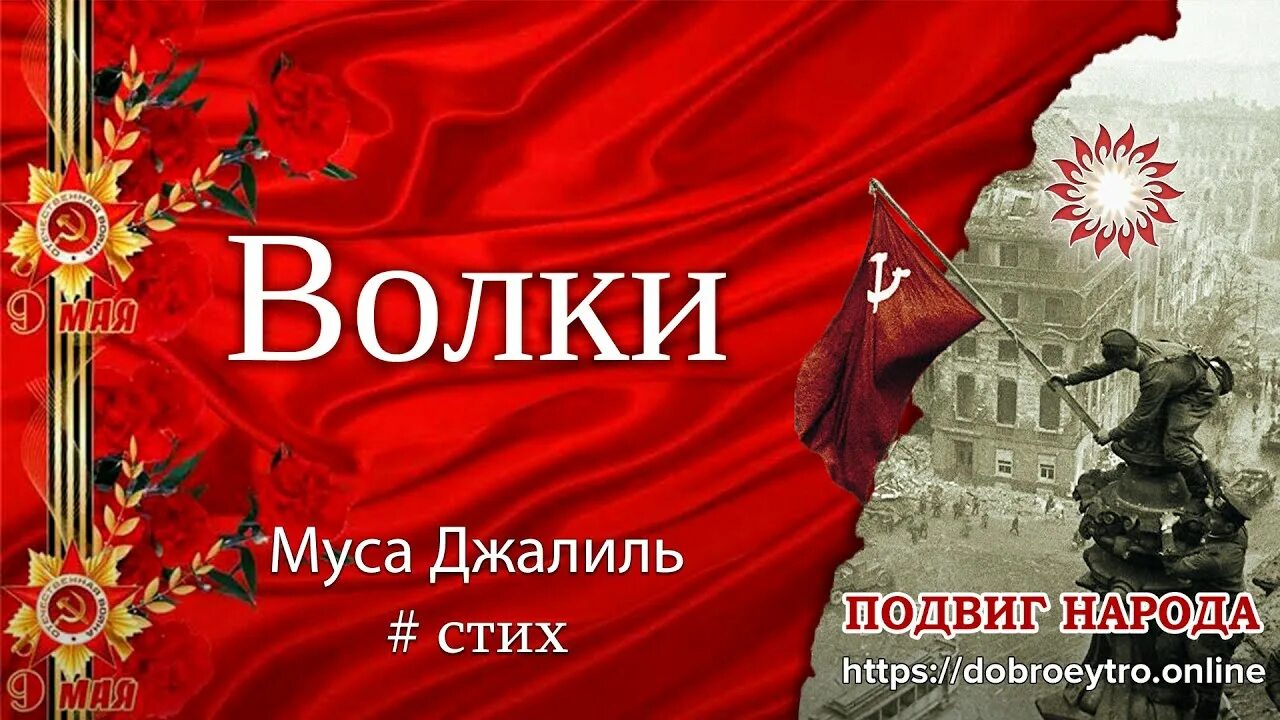 Муса джалиль волки стих. Муса джалиль волки стих. Стих мусы джалиля волки. Муса джалиль волки стих. Стихотворение волки муса джалиль.