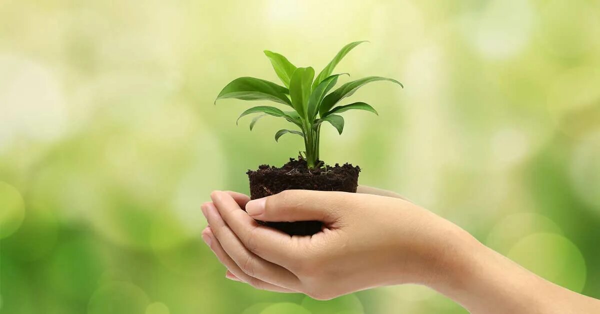Eco save