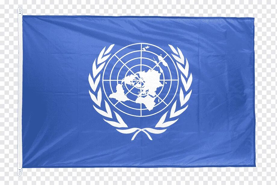 Int flag