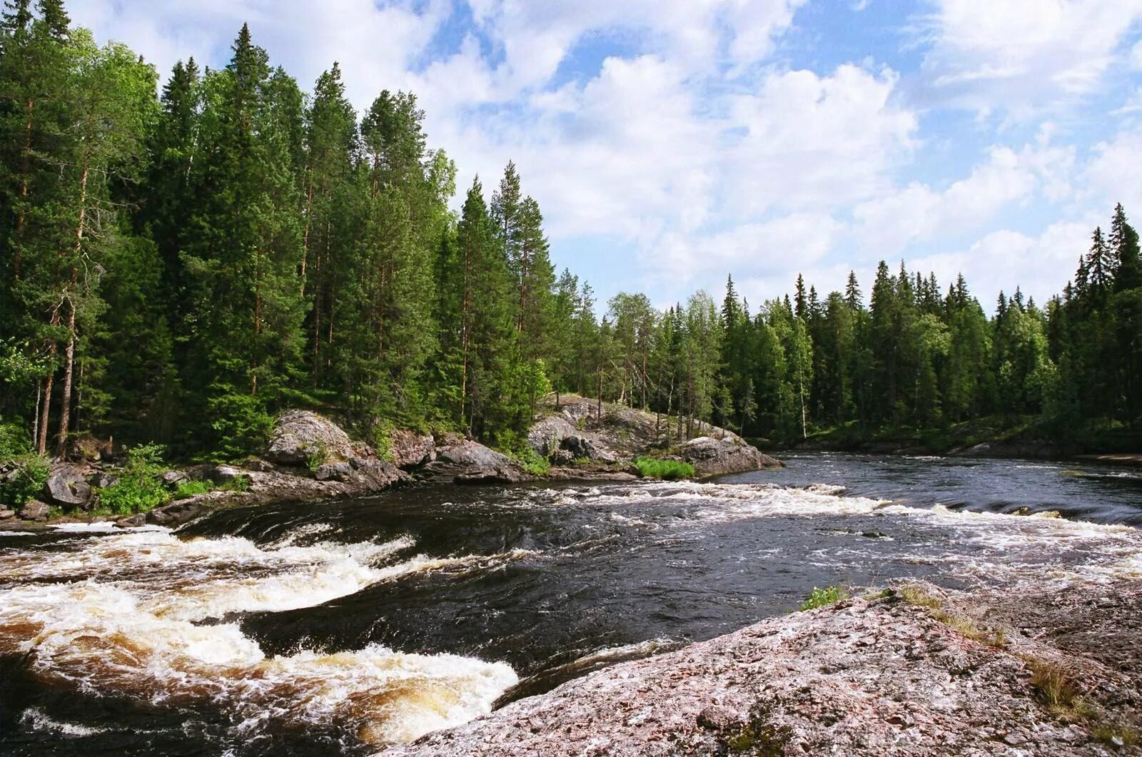 Пинежский заповедник река пинега. Особо охраняемые территории тайги. Райческая тайга в самарской области. Тыйга заповедник охраняя мая територи. Оопт тайги.