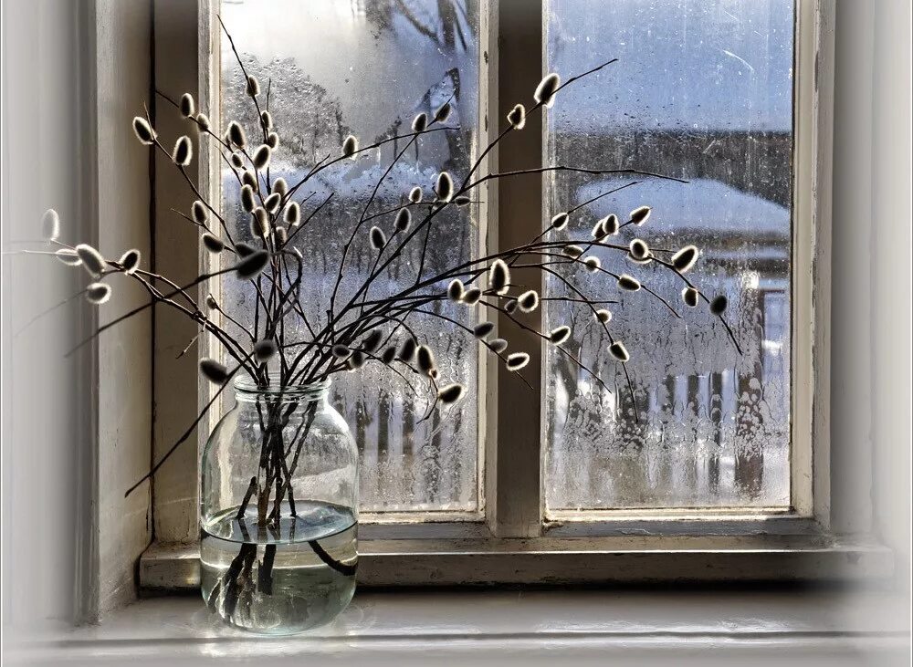 зимнее окно. зимний вечер за окном. тюльпаны на зимнем окне. снег за окном. весенние цветы на окне.