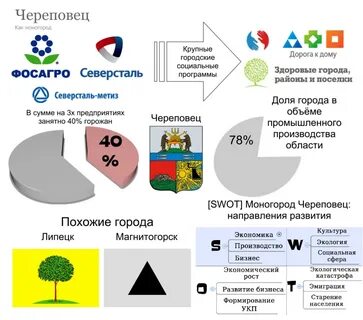 Социальный череповец