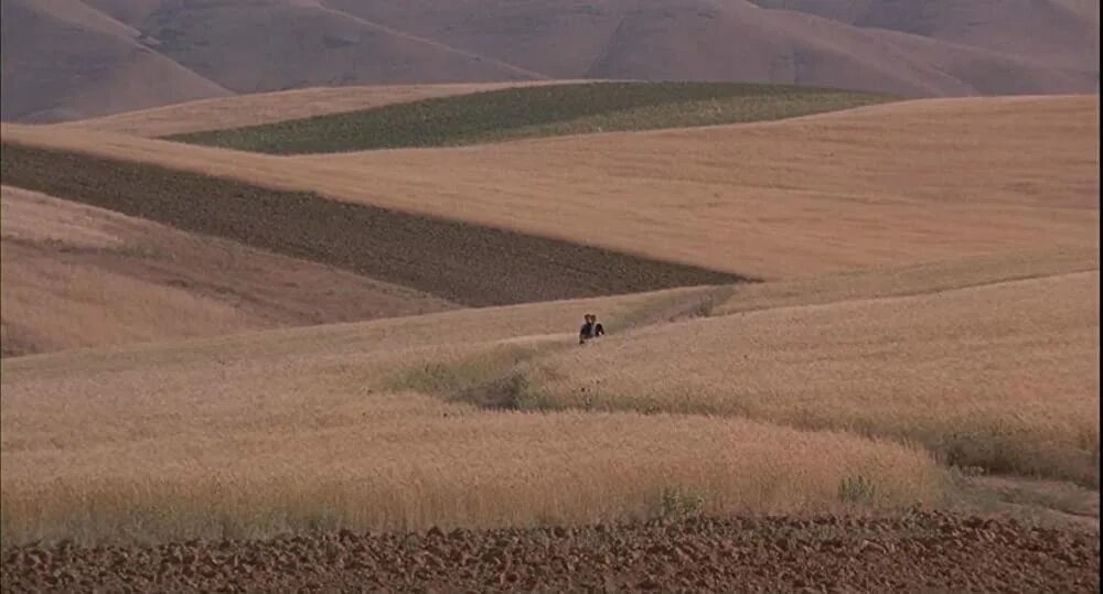 3 она. Расставание на перроне. 3 она. У каждого из нас свое море цитата. Чудесный закат.