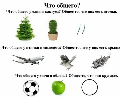 Что общего между 2 этими