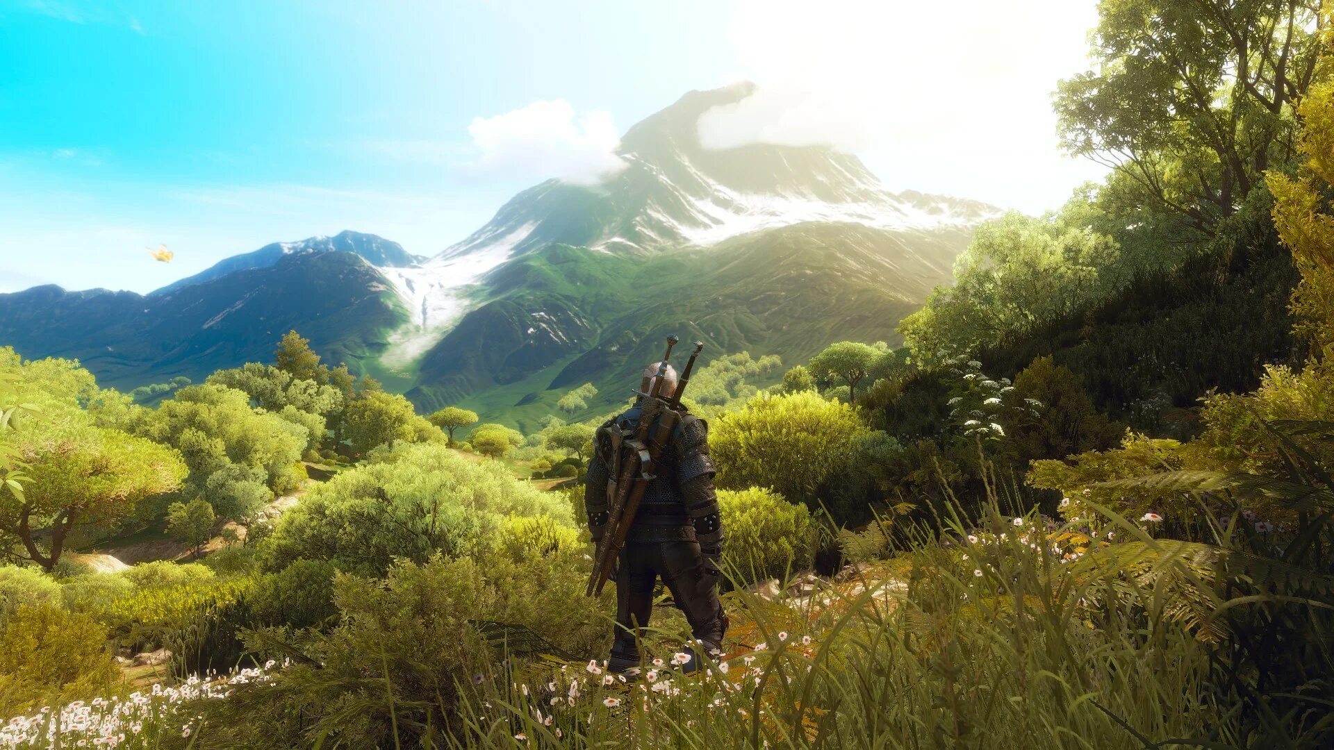 Open world stick. Ведьмак 3. Ведьмак Скеллиге пейзаж. The Witcher 3 Landscapes. Ведьмак 3 ландшафт.