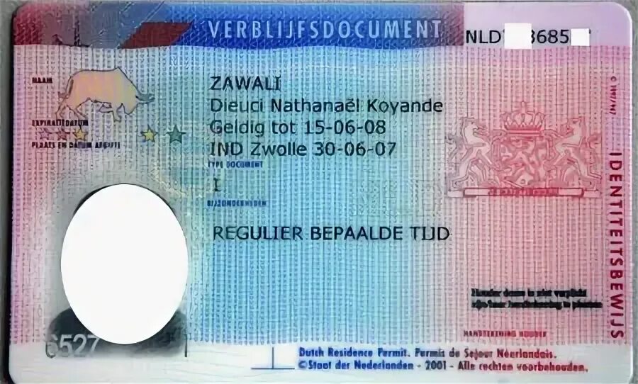 Как получить гражданство нидерландов. Внж нидерланды. внж в нидерландах как выглядит. нидерландское гражданство.