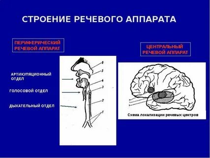 Прибор речевой