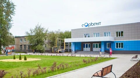 Сорбент пермь