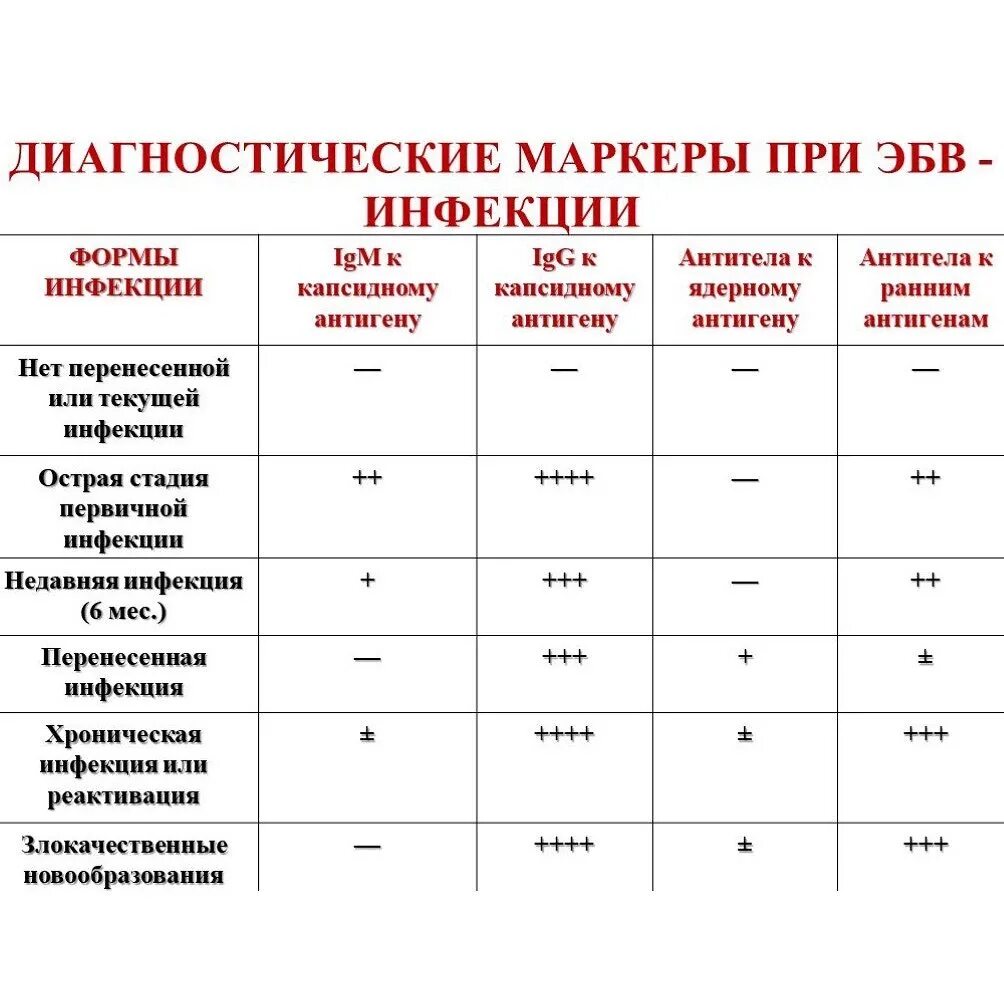 Ядерный антиген вируса эпштейна барр. Дифференциальная диагностика ВПГ 1, 2. Эпштейн Барр лабораторная диагностика. Маркеры Эпштейн Барра серологические. Маркеры вэб инфекции.