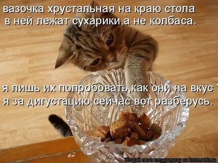 Похаваем