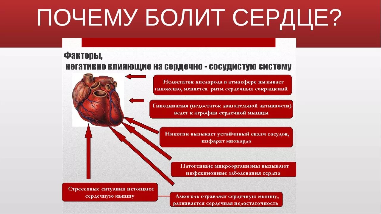 Постоянная боль в сердце ноющая. Почему может болеть сер. Причины сердечных болей. Почему болит сердце.