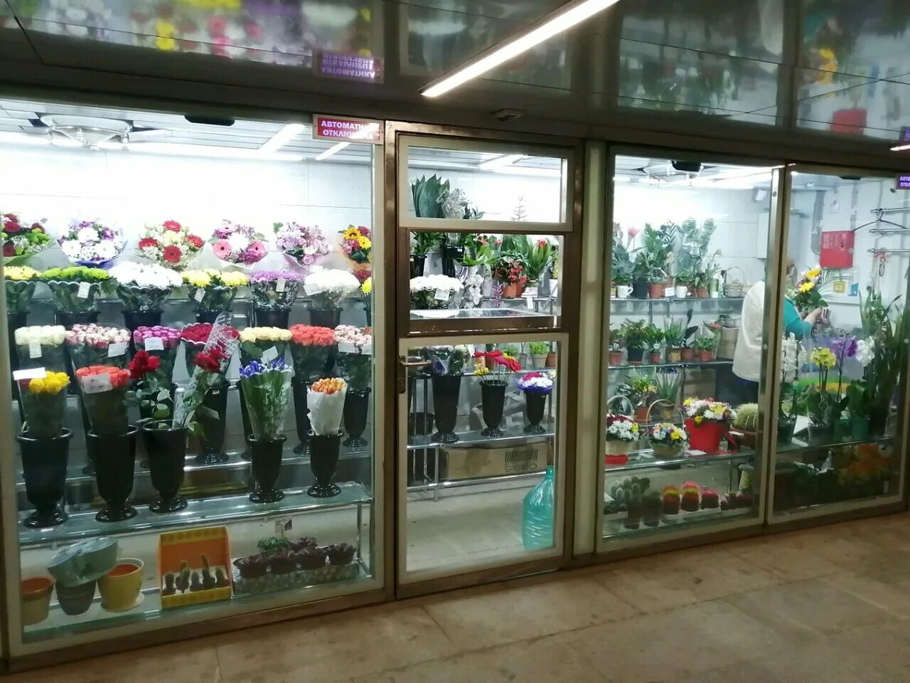 Магазин цветов воронеж. Цветы на соколе. Цветочный ряд фото магазина. Цветы на соколе. Пивная сокол.