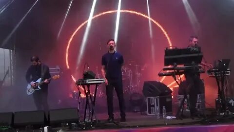 Видео группы дельфин