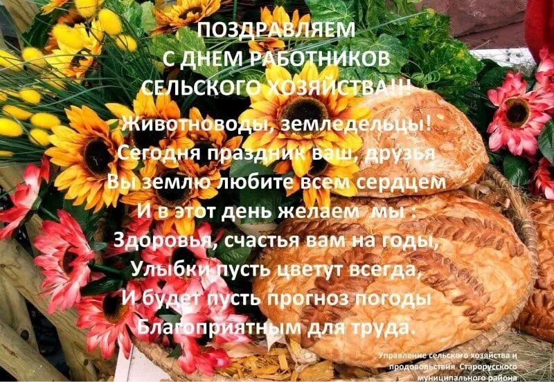 Красивое поздравление с днем сельского работника. Поздравление с днем сельского хозяйства. поздравление с днем работника сельского хозяйства. день сельского хозяйства открытки с поздравлениями. пожелания с днем сельхозработника.
