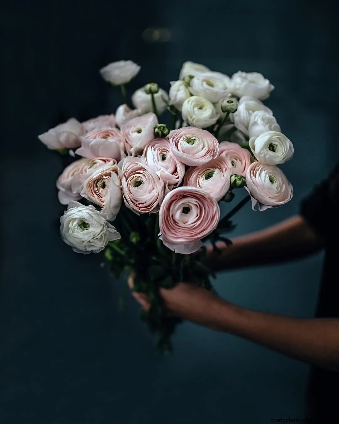 Стильный букет. Букет цветов в руках девушки. Букет в руках. Букет роз в руках. Букет цветов для девушки.