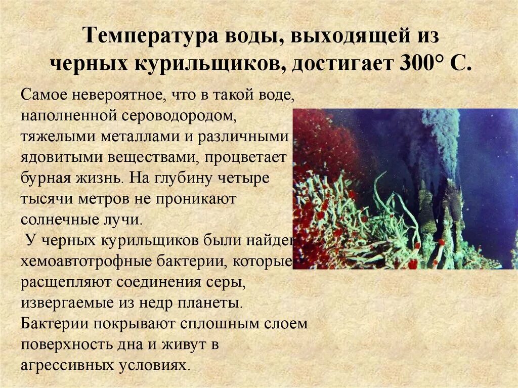 Черная гипотеза