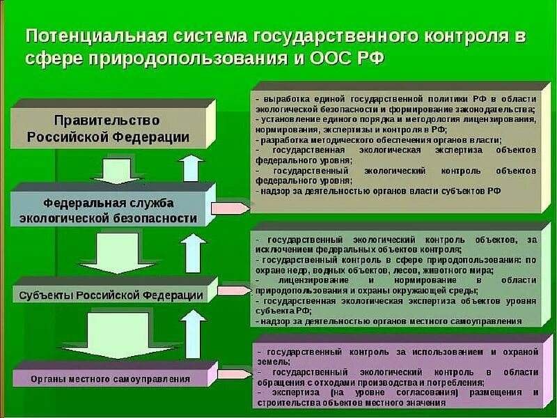 Подсистемы государственного экологического мониторинга. Управление природопользованием и природоохранной деятельностью. государственное экологическое управление. структура системы управления природопользованием. система экологического управления в сфере природопользования.