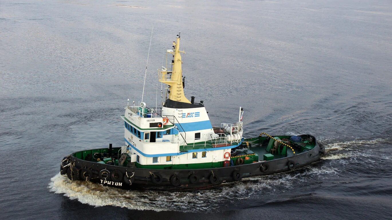 Яйцо испанского тритона. Катер тритон 540 характеристики. Буксир тритон архангельск. Тритон паром. Тритон паром.