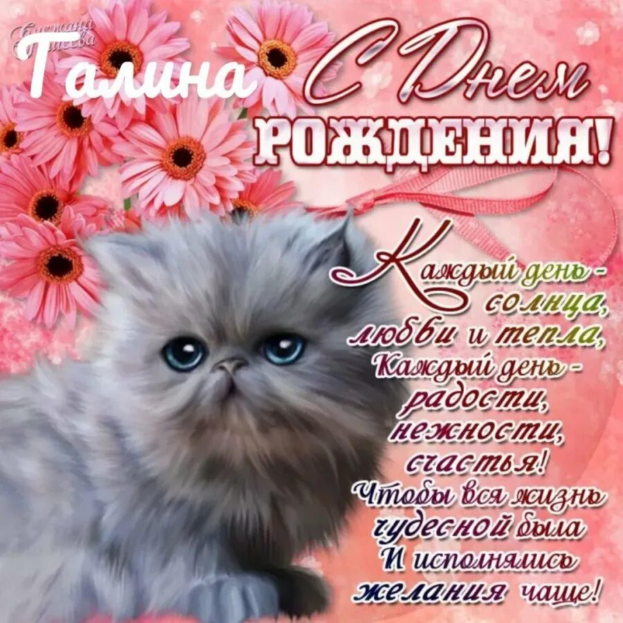 Поздравить сашеньку с днем рождения. С днем рождения. поздравления с днём рождения. поздравления с днём рождения девушке. поздравления с днём рождения с котами.