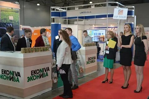 Эконива медынь