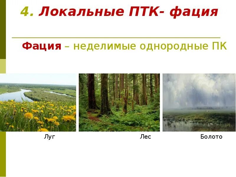 Дать характеристику птк. Природный территориальный комплекс. Природно-территориальный комплекс локальный. Природно-территориальный комплекс примеры. Локальные ПТК.