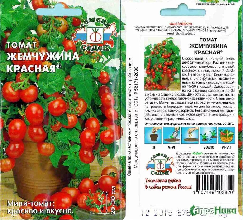 Томат Жемчужина красная. Помидоры сорт Жемчужина красная. Семена томат черри "Садовая Жемчужина. Томаты черри красная Жемчужина. Томат красная шапочка характеристика и описание фото