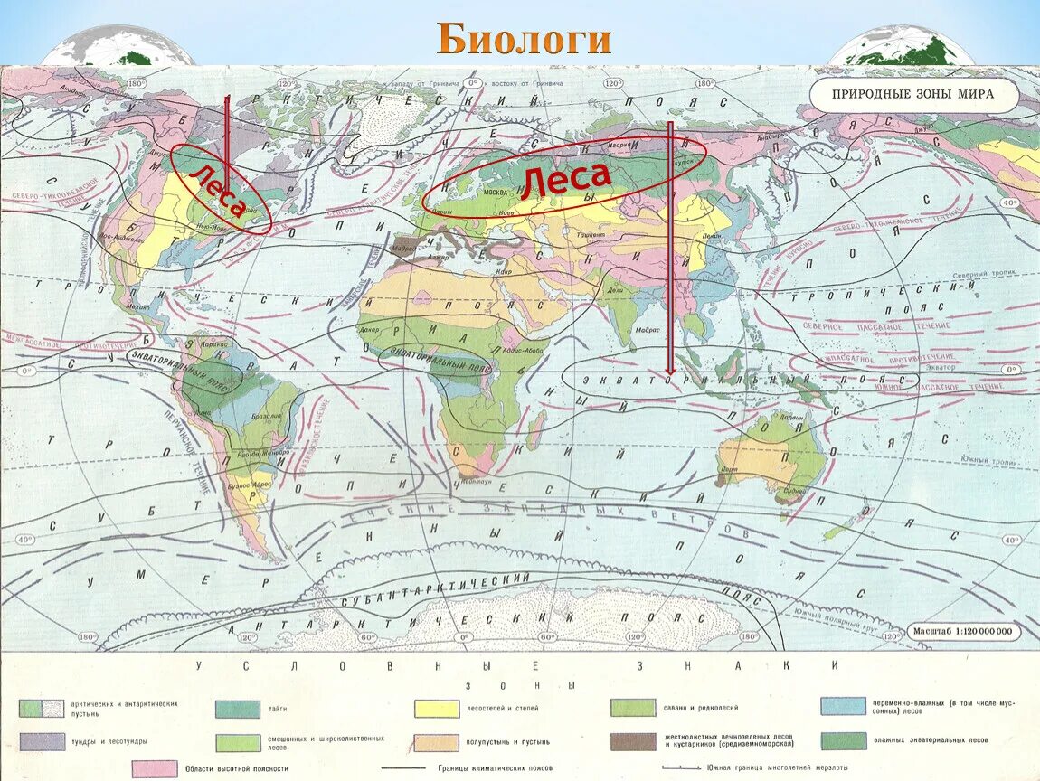 Карта природных зон 7 класс география. Географическая карта с природными зонами