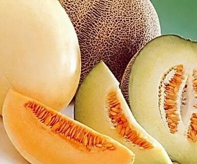 Дыня сибирская медовая
