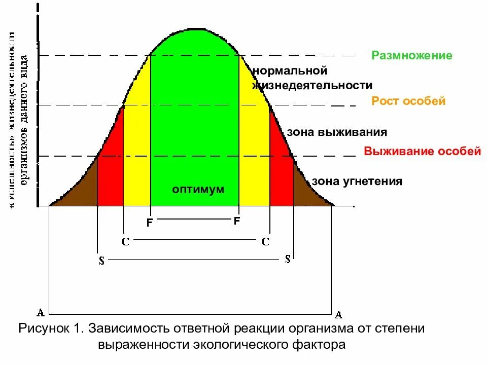 В зависимости от 1 уровня. Факторы среды зона оптимума. Зона оптимума экологического фактора. Зона оптимума зона нормальной жизнедеятельности зона угнетения. Экологические факторы Оптимум.