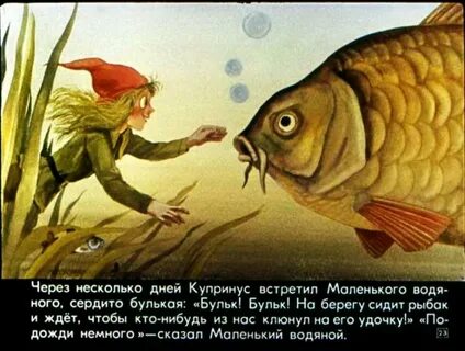 Мелко водный