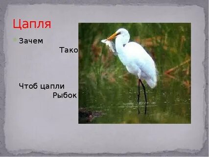 Почему цапля на 1 ноге