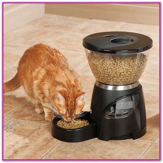 Automatic pet feeder. Автоматическая кормушка для кошек ксяоми. Автокормушка для собак timed Feeder. Автокормушка трикси. Автоматическая кормушка для кошек трикси.