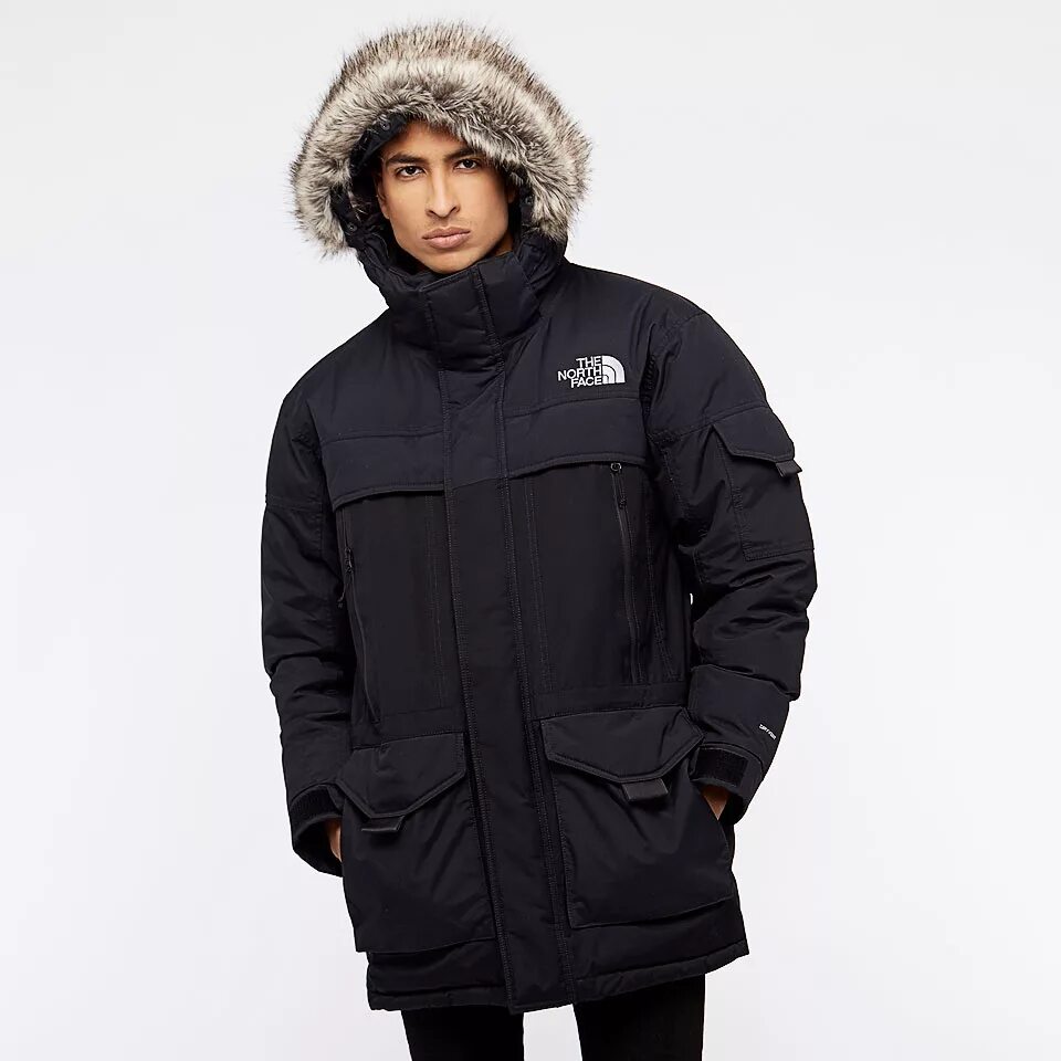 Tnf d