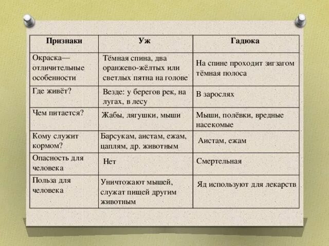 Гадюка и уж сходство и различия. Сходства сравнения и различия ужин и гадюки. Гадюка и уж сходство и различия 3. Сравнение гадюки и ужа сходство и различия.