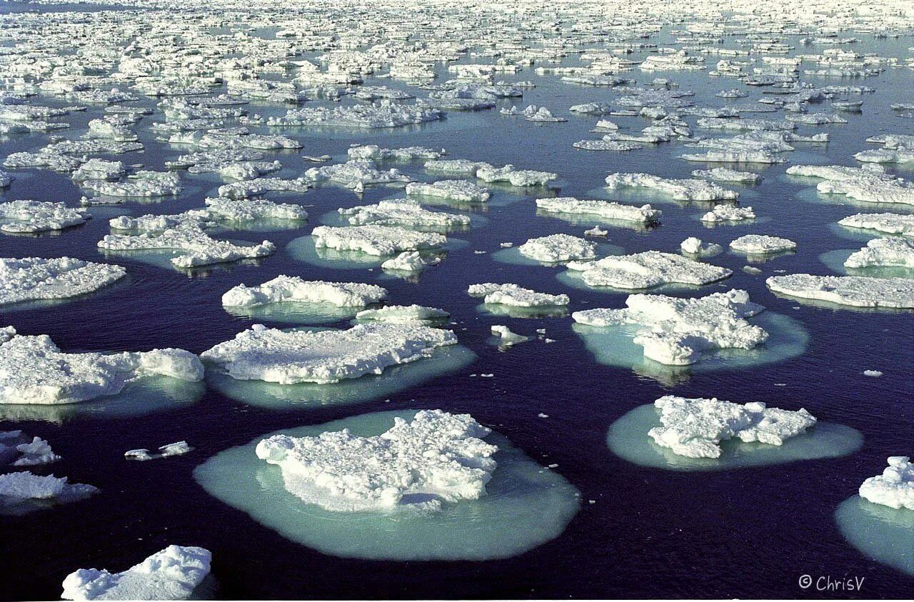 Поднятие уровня моря. Повышение уровня моря. глобальное потепление повышение уровня моря. глобальное потепление из за океана. глобальное потепление последствия в океане.