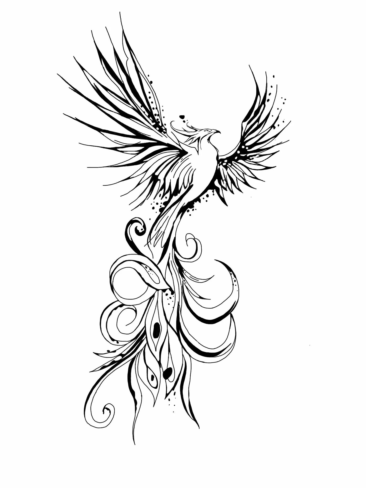 тату феникс для девушек эскизы. феникс тату эскизы. тату феникс для девушек эскизы. тату птица феникс трайбл. феникс тату.