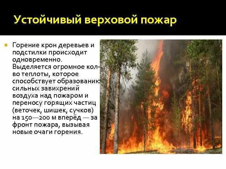 Верховой пожар. Верховой беглый Лесной пожар. Верховые пожары доклад. Верховой Лесной пожар может возникнуть при.