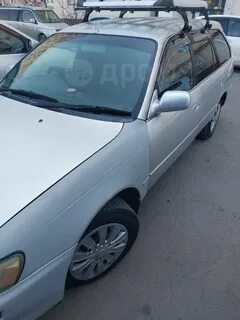 Без документов владивосток