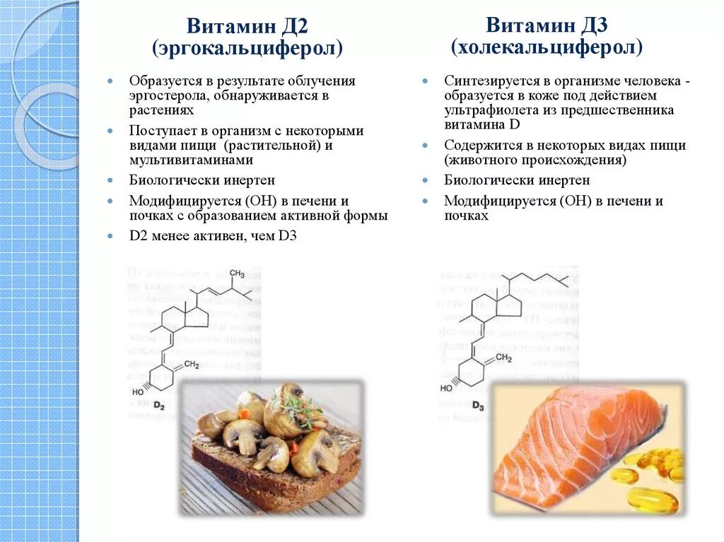 Роль витамина д кальциферол. Предшественник витамина д. Функции витамина d в организме человека. Активные формы витамина д синтезируются. Витамин д выполняемые функции