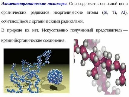 Органическое и неорганическое строение клетки
