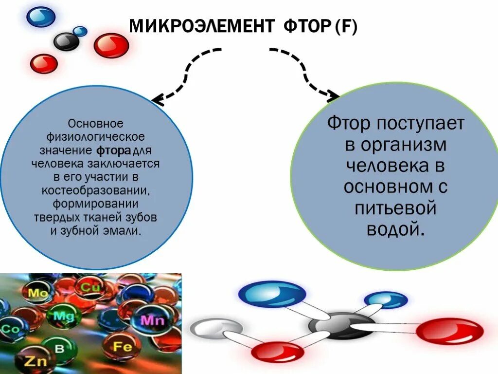 Фтор для организма. Микроэлементы презентация. Микроэлементы в организме человека. Фтор микроэлемент. Фтор значение для организма.