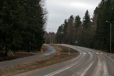 Форека светогорск