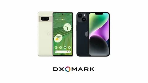 Pixel 7 pro max