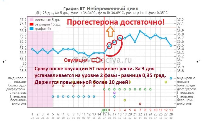 БТ имплантационное западение на графике БТ. Имплантационное западение на графике БТ. Беременный график БТ С поздней овуляцией. Базальная температура прогестероновая недостаточность. Овуляция без предохранения